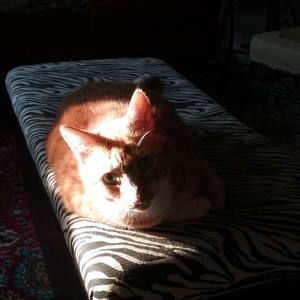 Meet your Posher, Judy darlene